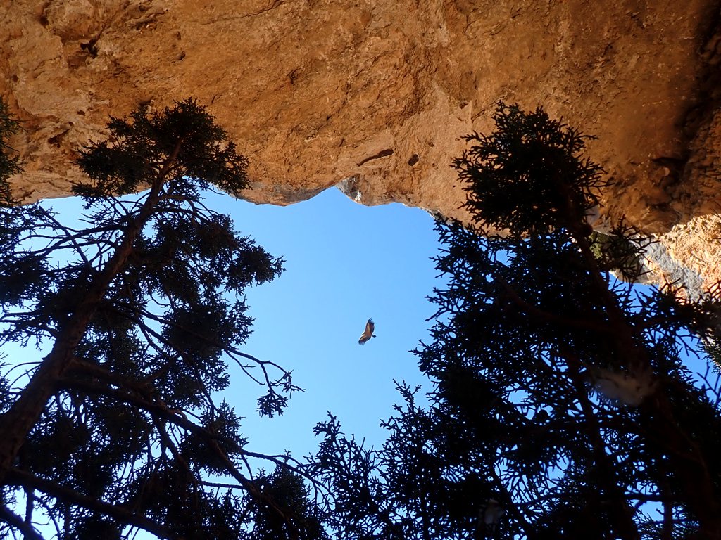 La Cueva Ventosa