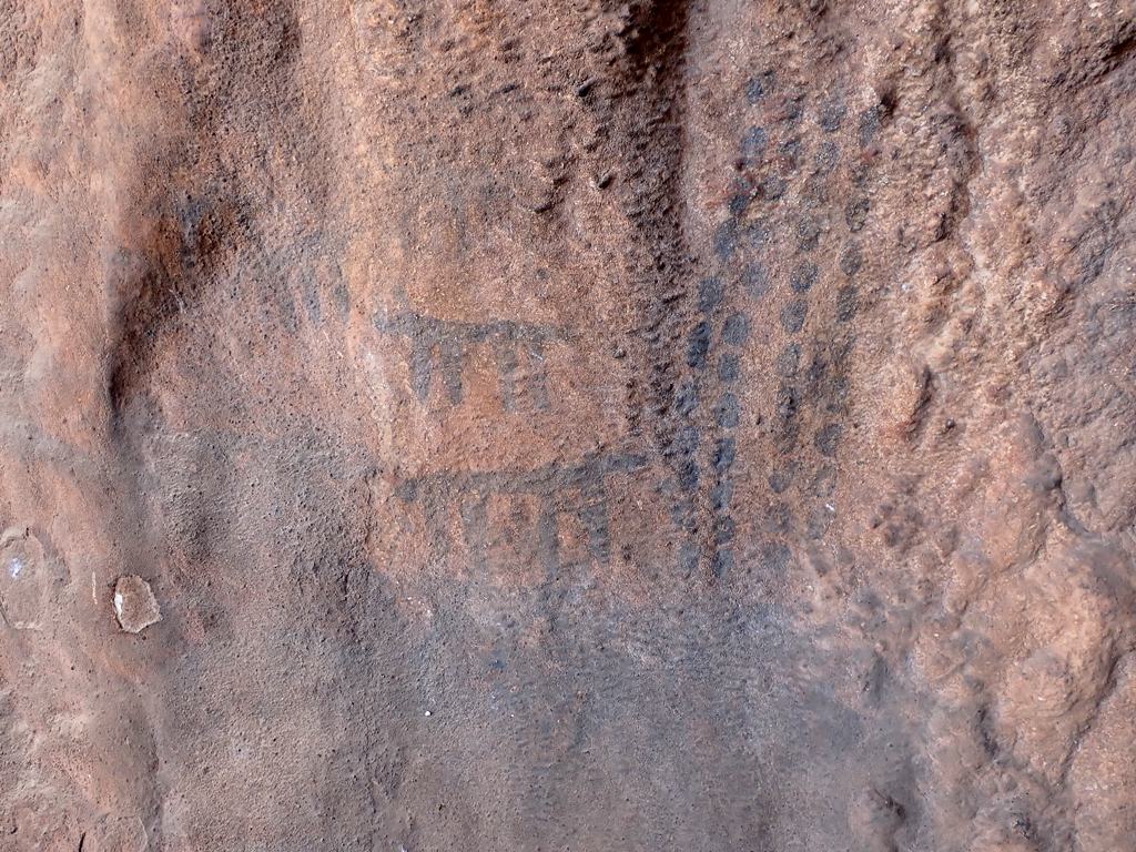 Unas de las pinturas rupestres La Cueva Palomera