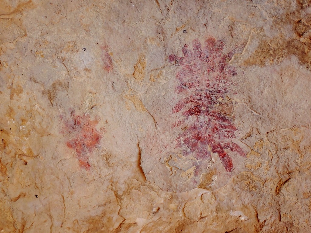 Las Cuevas de la Artica de Campo
