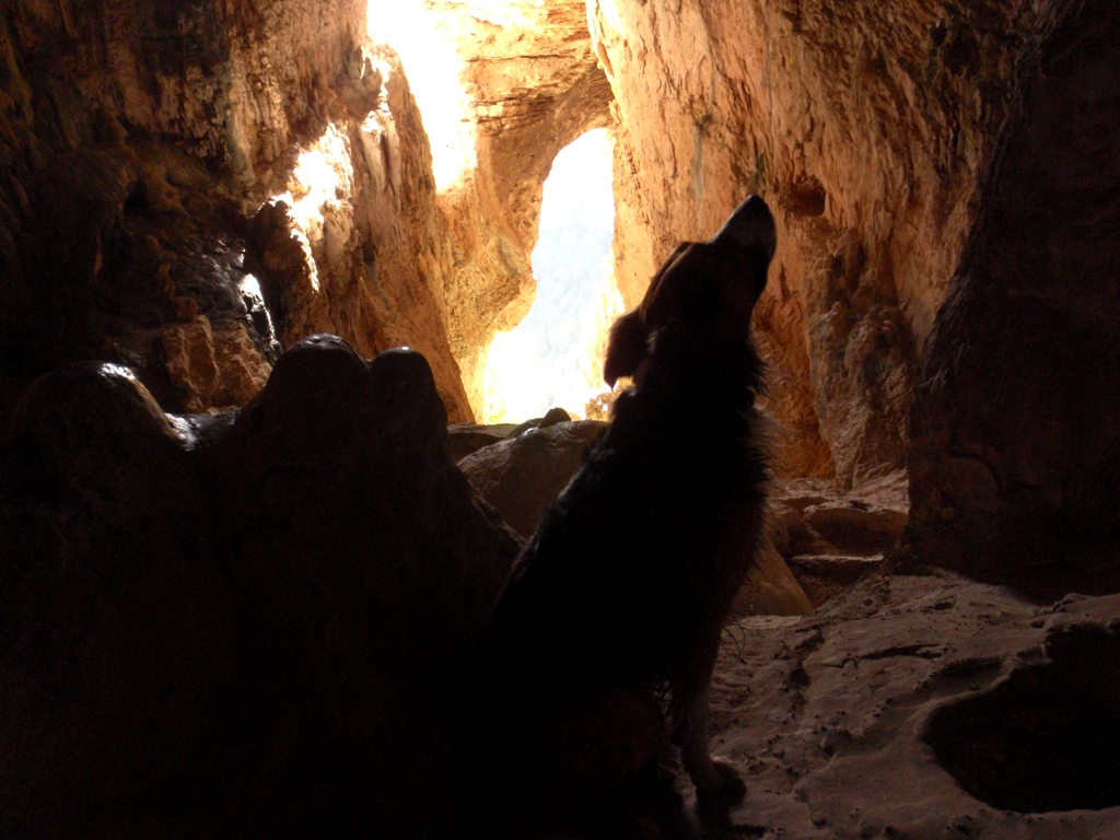 La cueva de la Mezquita