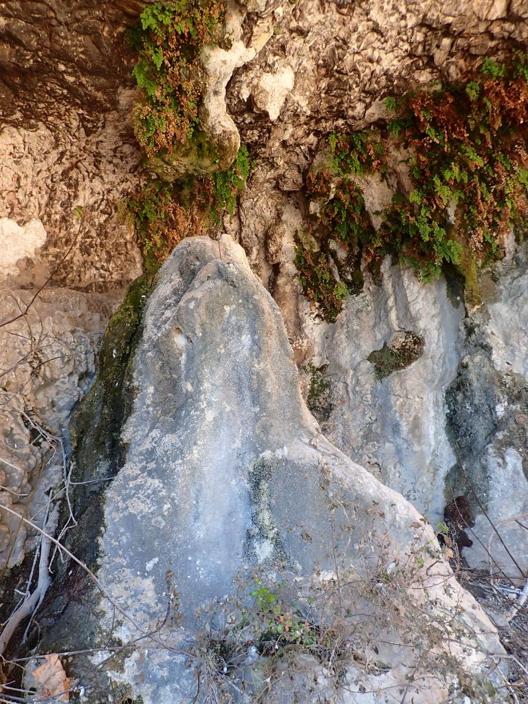 Coladas La Cueva Palomera