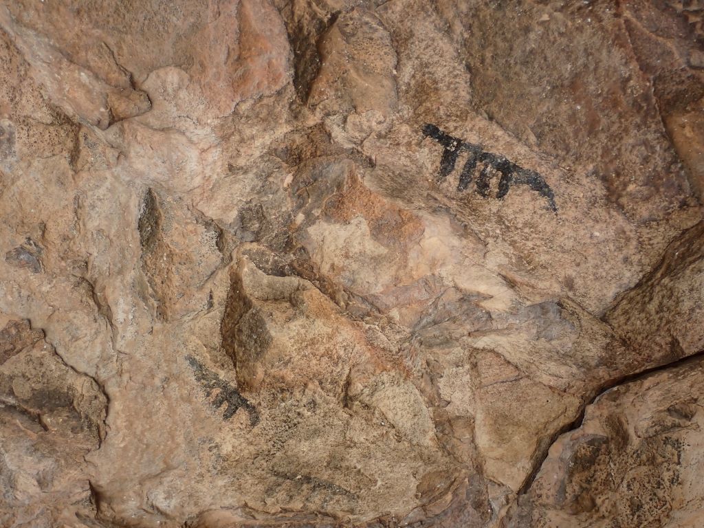 Detalle de las pinturas rupestres La Cueva Palomera
