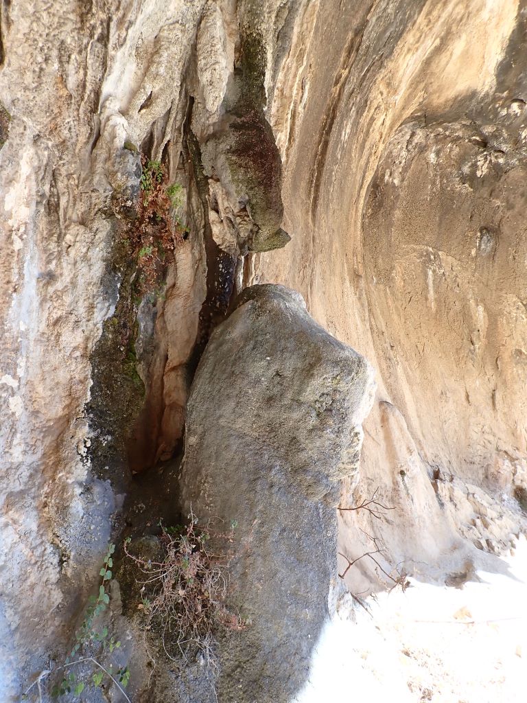 Coladas La Cueva Palomera
